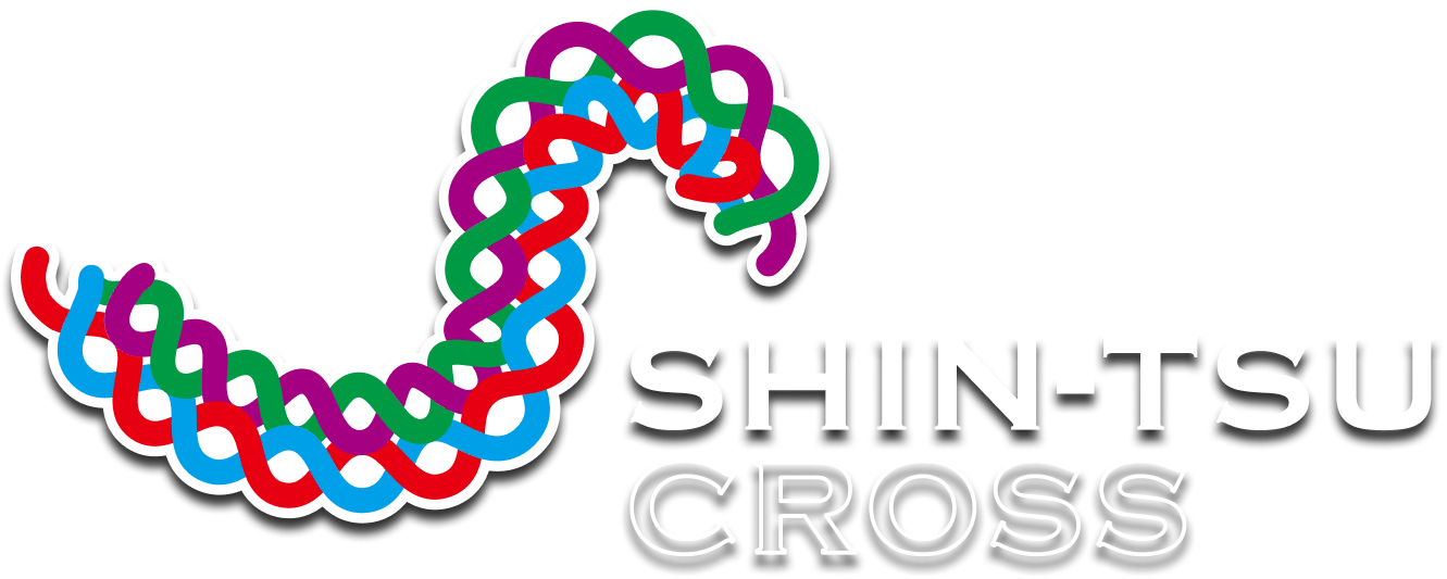 SHIN-TSU CROSS