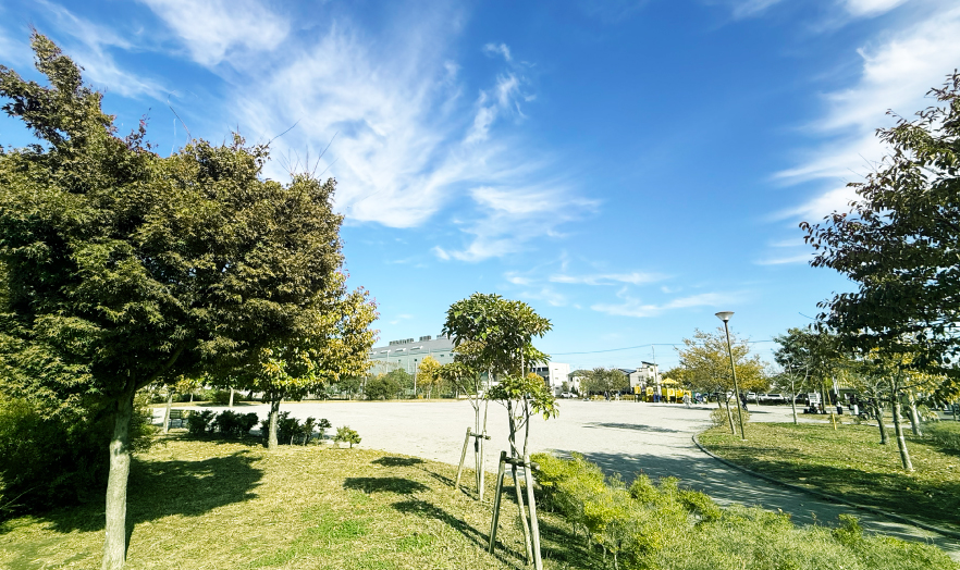 木1号公園