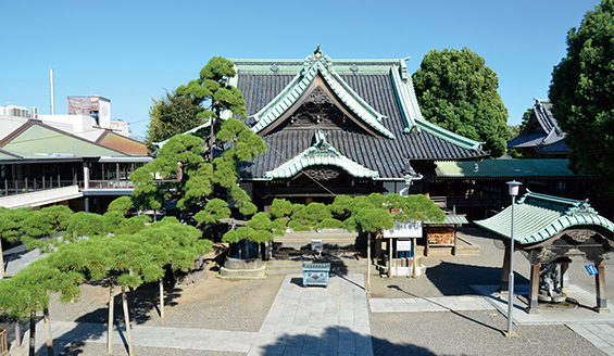 柴又帝釈天