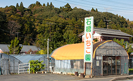 石橋莓園