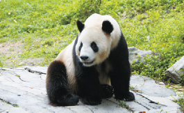 上野動物園