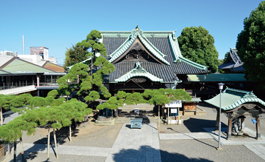 柴又帝釈天