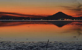 Egawa Coast Clam Digging