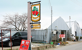 Kawatsura Strawberry Farm
