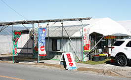 Koyama Farm