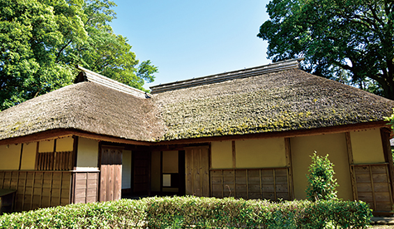 Sakura Samurai Residences