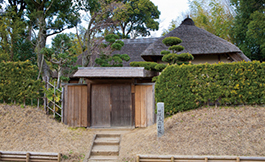 Sakura Samurai Residences