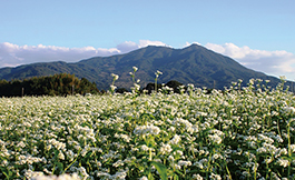 Mt. Tsukuba