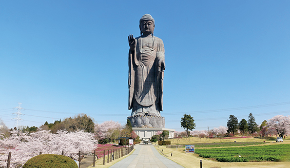 Ushiku Daibutsu Buddha