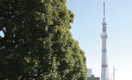 TOKYO SKYTREE®