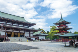 Khu vực Narita (Chiba)