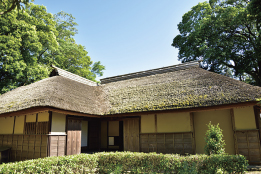Khu vực Sakura/Shisui (Chiba)