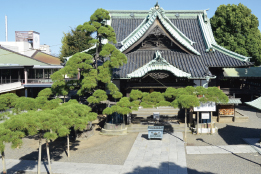 Khu vực Shibamata/Yagiri (Tokyo/Chiba)