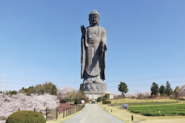 Khu vực Tsukuba (Ibaraki)